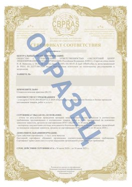 Образец Сертификат СТО 01.064.00220722.2-2020 Сальск Сертификат СТО 01.064.00220722.2-2020 